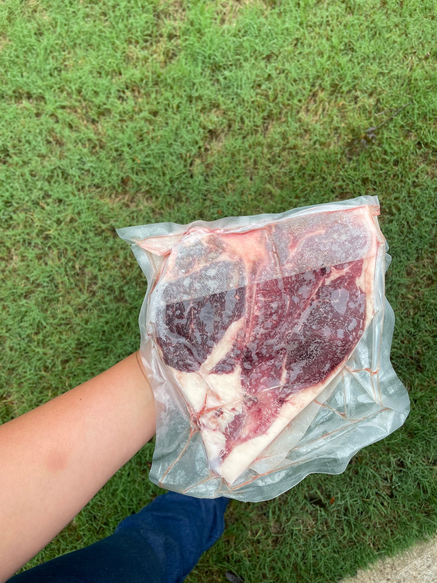 Porterhouse Steak