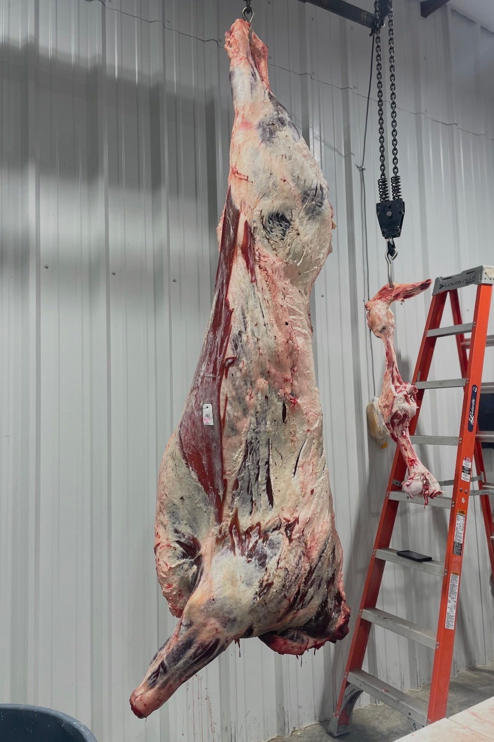 Freezer Beef: Deposit for WHOLE Beef Share
