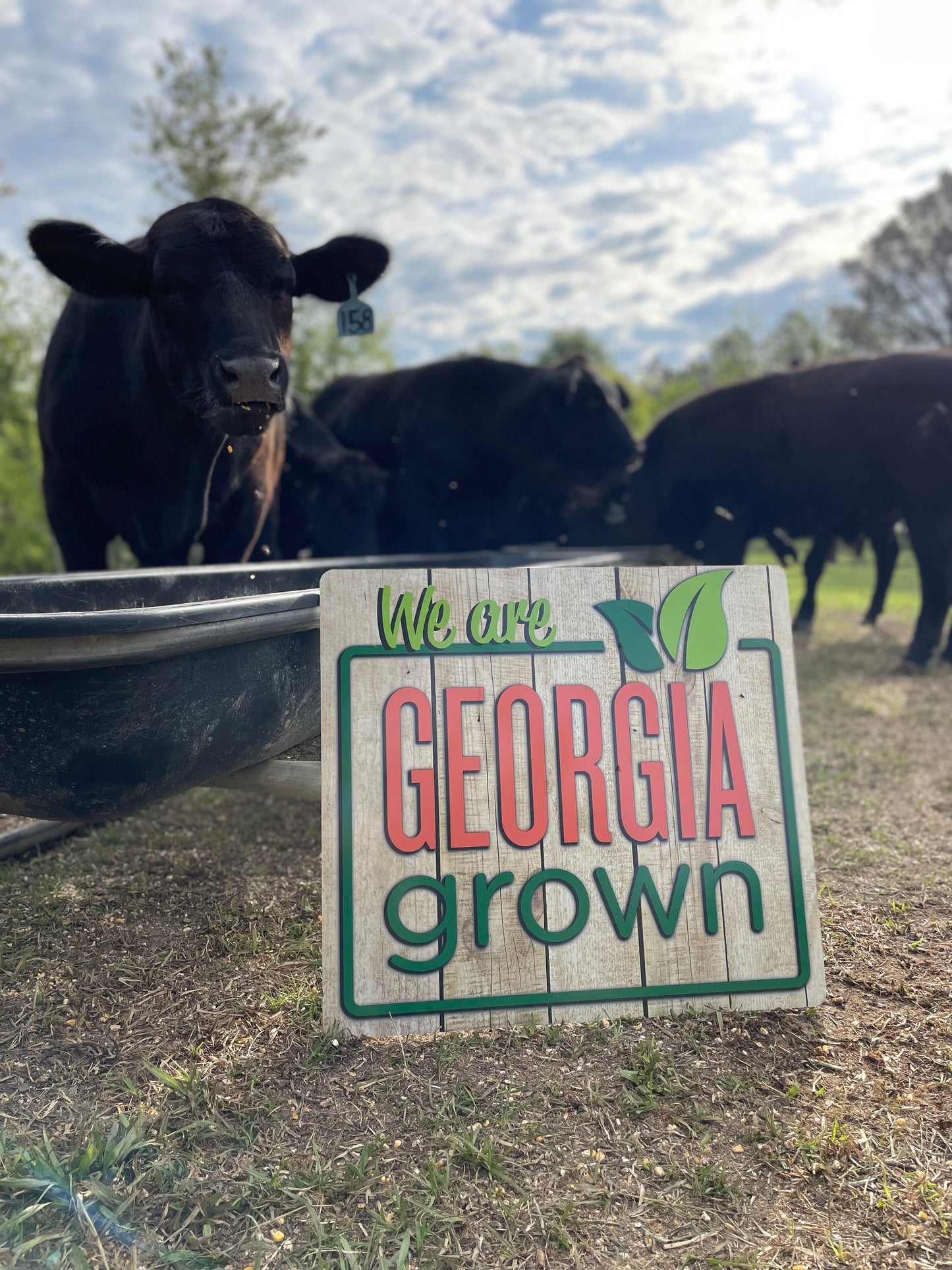 Freezer Beef: Deposit for HALF Beef Share